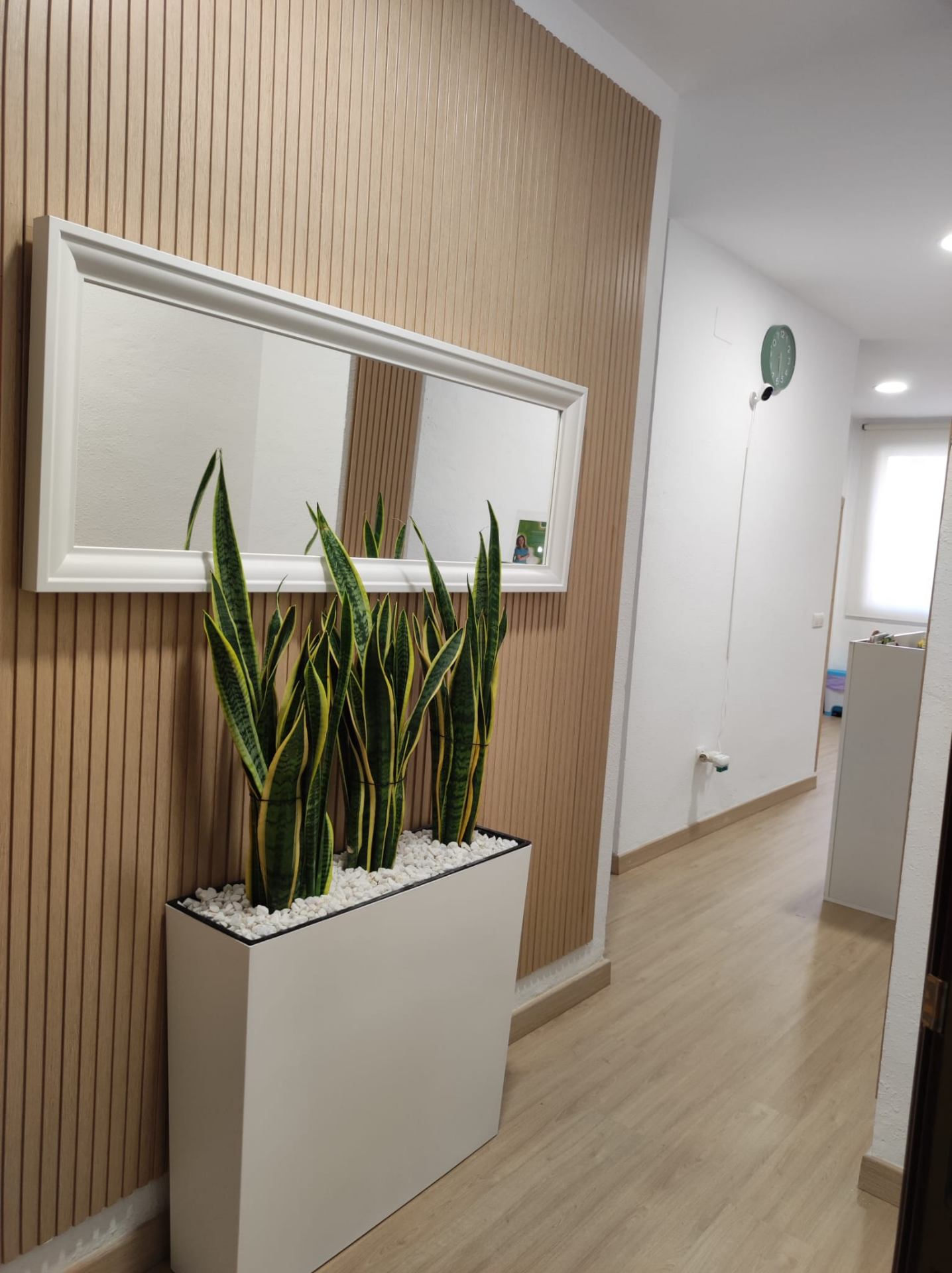 Pasillo de la clínica con decoración moderna